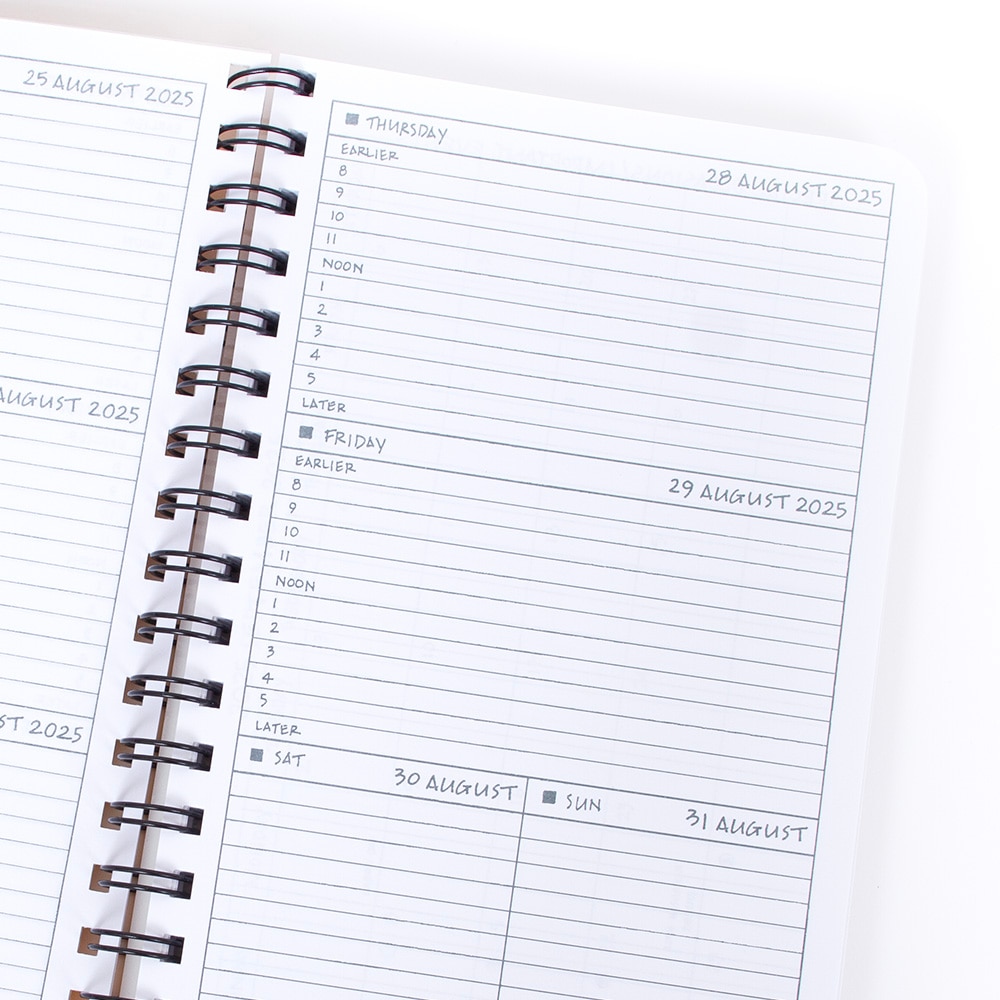 Academic, Art & School, 2025-2026, August to August, Planner, Assorted colors, 941524